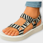 Zebra - White