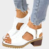 New Collection of Sandals